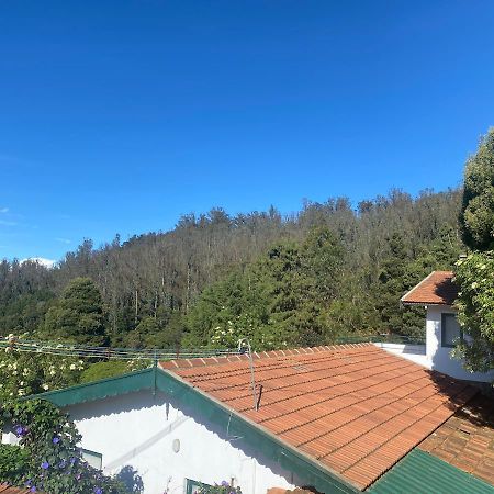 The Tamarillo Bed & Breakfast Ooty Exterior photo