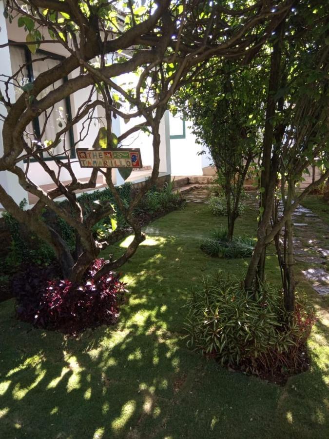 The Tamarillo Bed & Breakfast Ooty Exterior photo