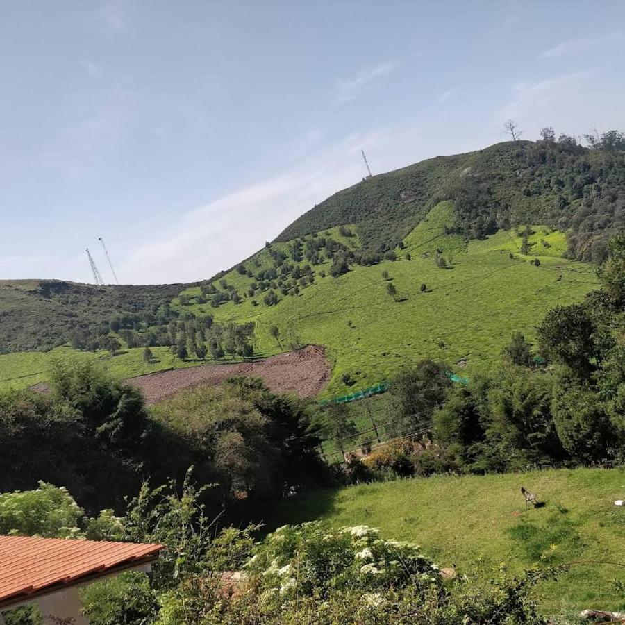 The Tamarillo Bed & Breakfast Ooty Exterior photo