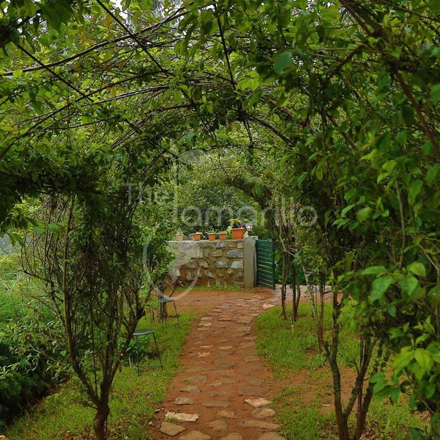 The Tamarillo Bed & Breakfast Ooty Exterior photo