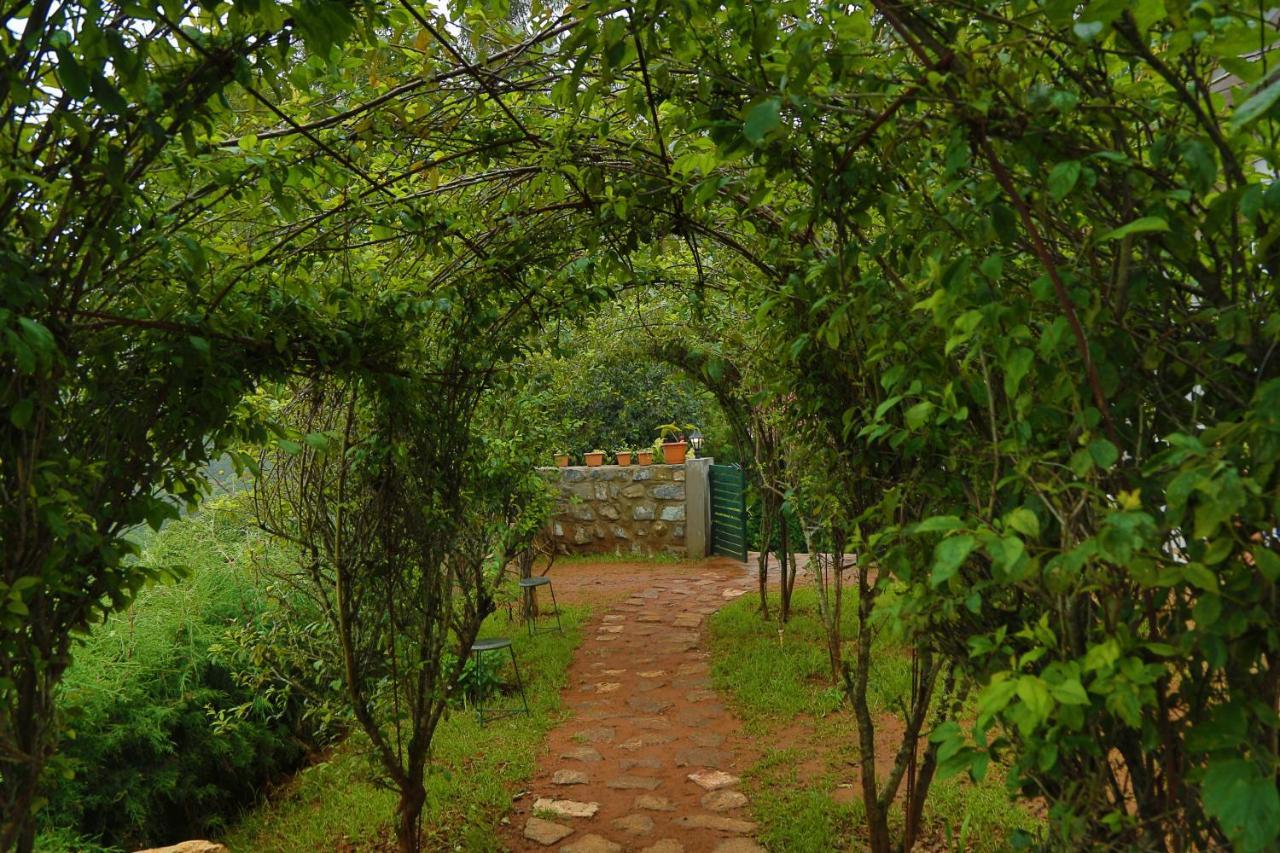 The Tamarillo Bed & Breakfast Ooty Exterior photo